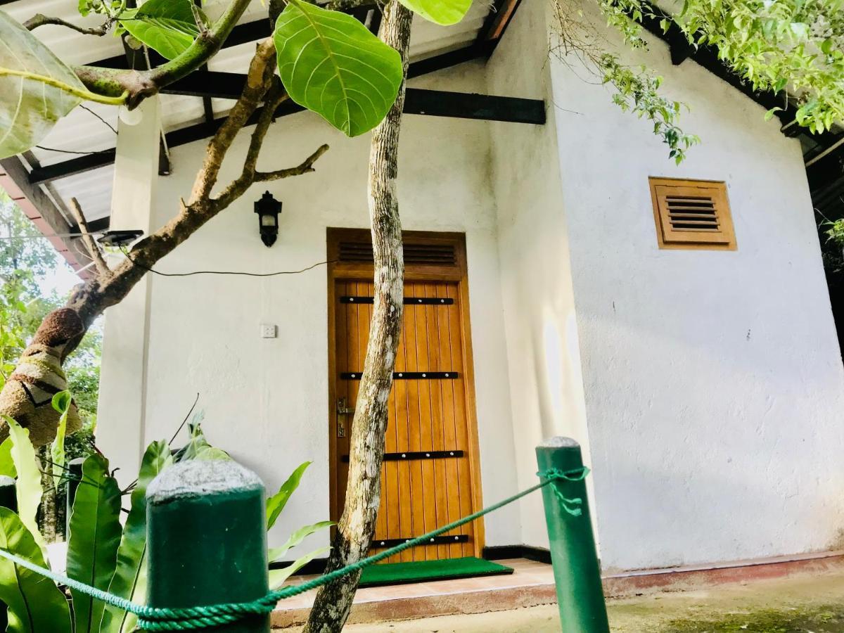 Ella Ostella Hostel Luaran gambar