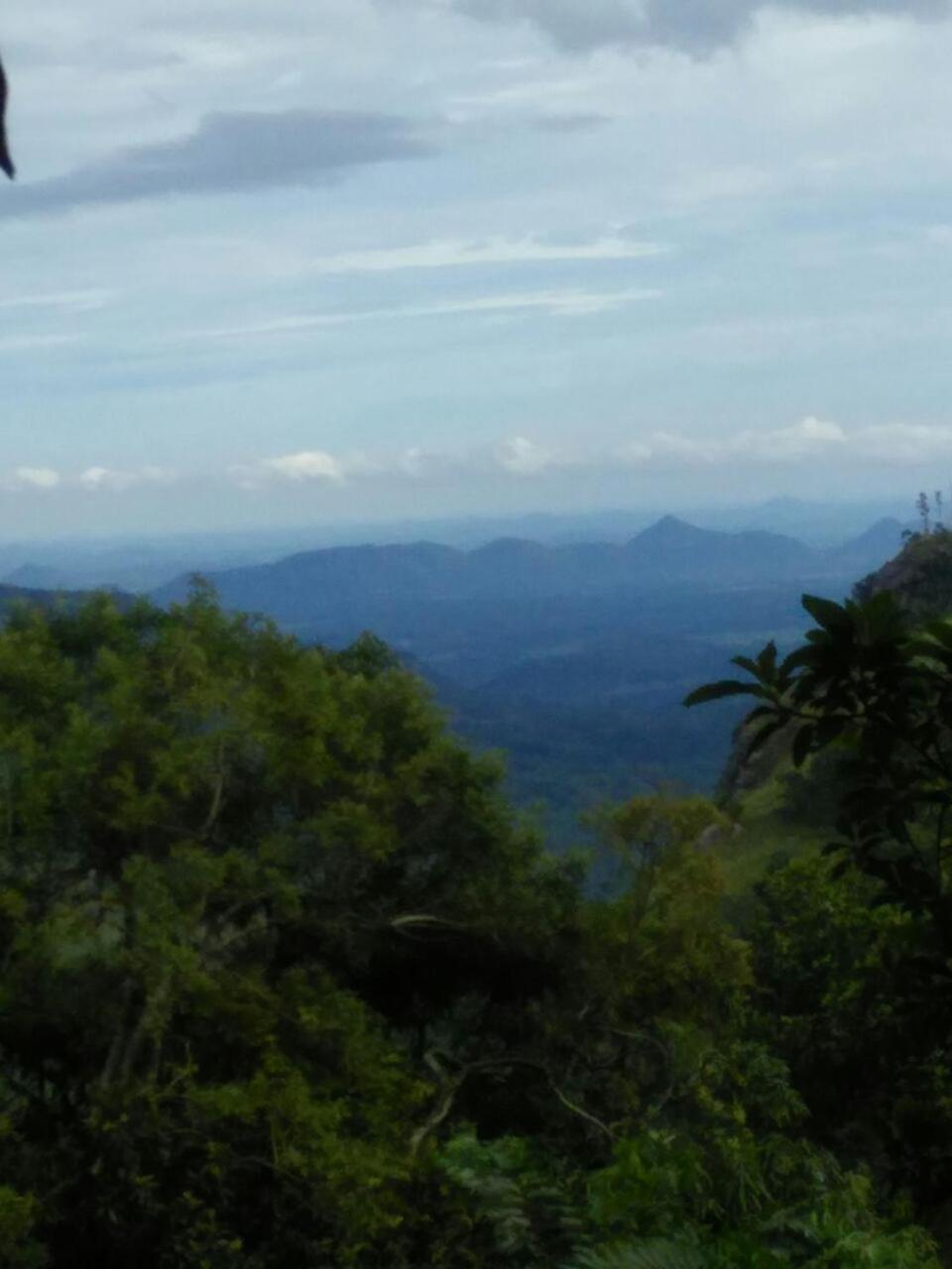 Ella Ostella Hostel Luaran gambar